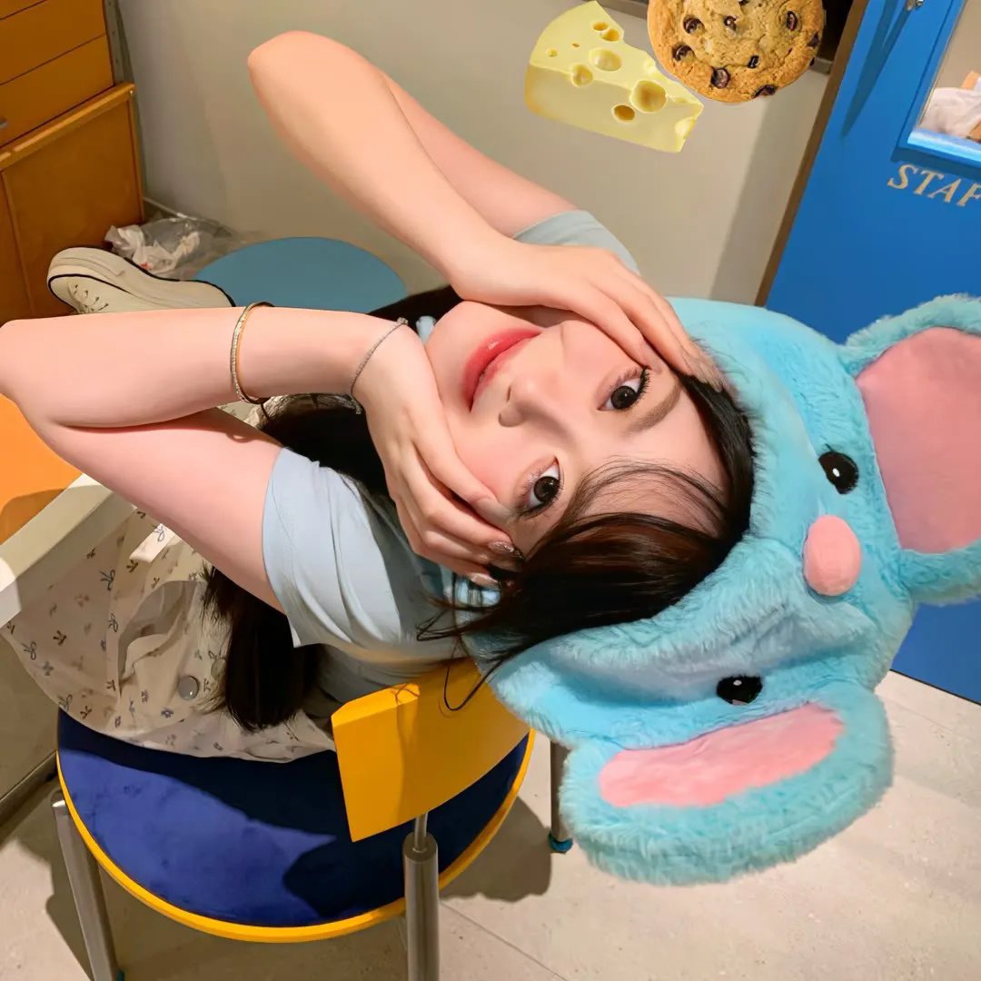 没有谎言
